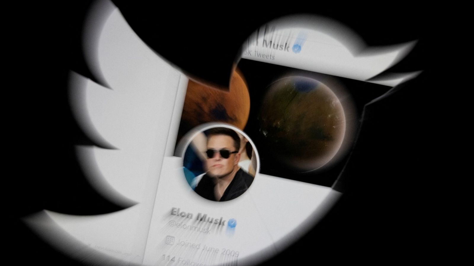 Musk retrasa la verificación de pago en Twitter hasta el 29 de noviembre