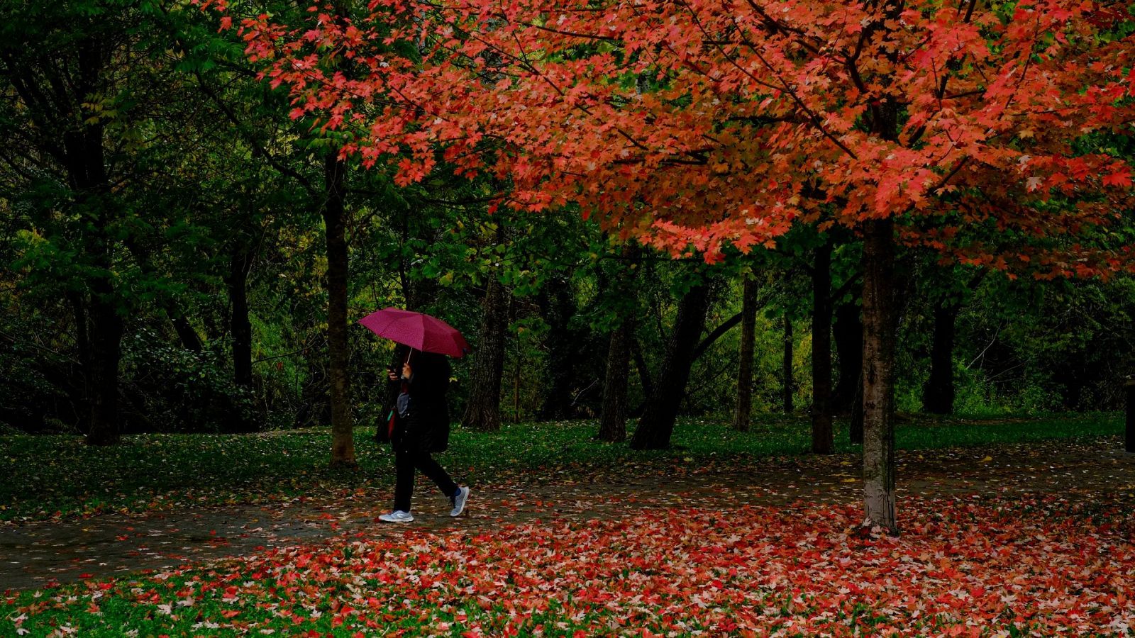 Una mujer se protege con un paraguas bajo la lluvia en Pamplona 