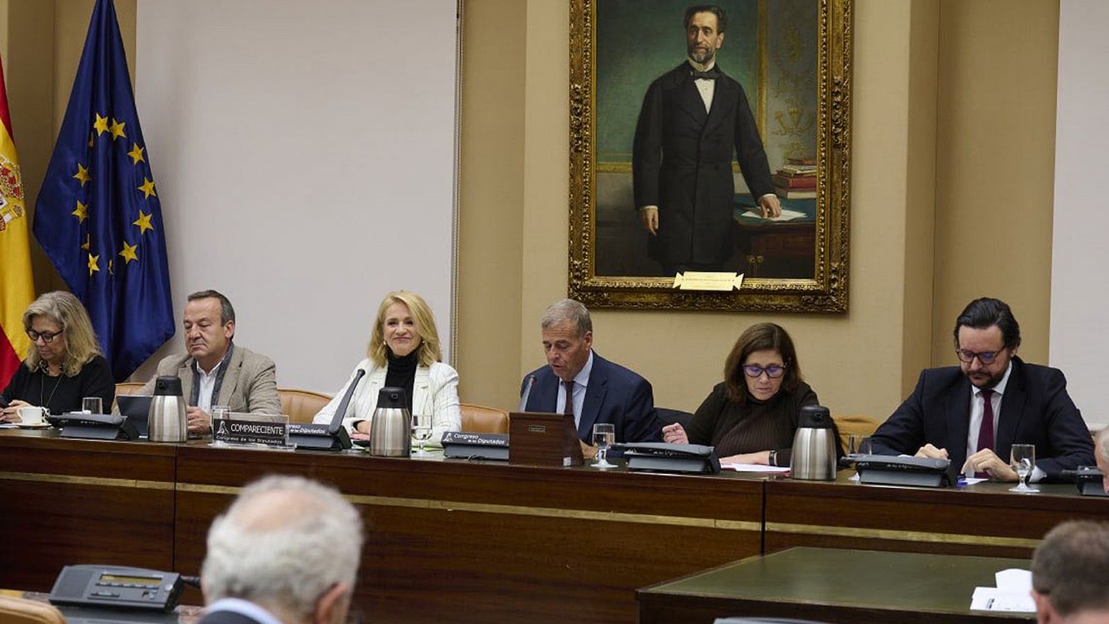 Comparecencia de Elena Sánchez Caballero en el Congreso