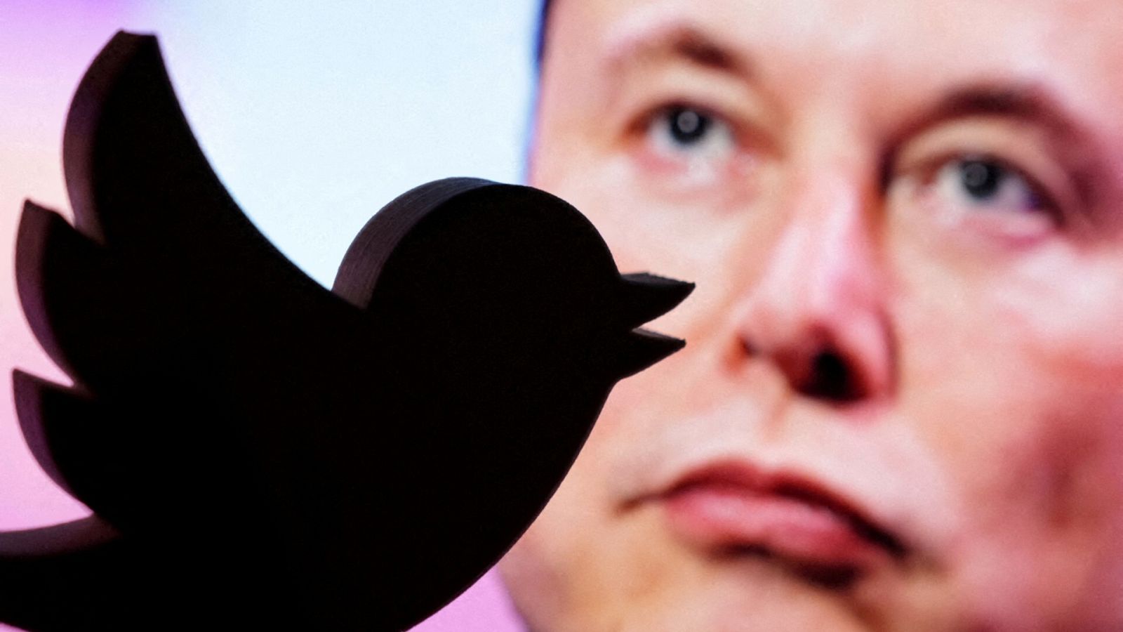 Fotomontaje de un logotipo de Twitter y una imagen de Elon Musk.