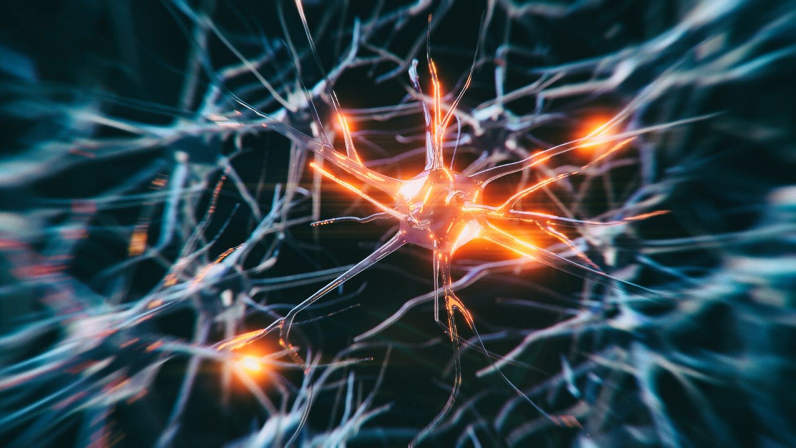 Imagen de un sistema de neuronas.