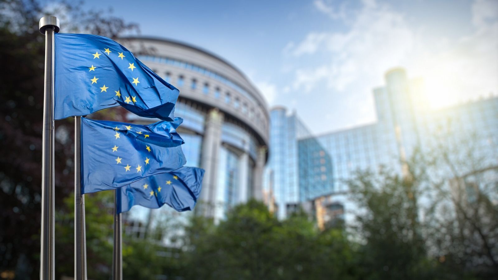Banderas de la Unión Europea frente al Parlamento Europeo