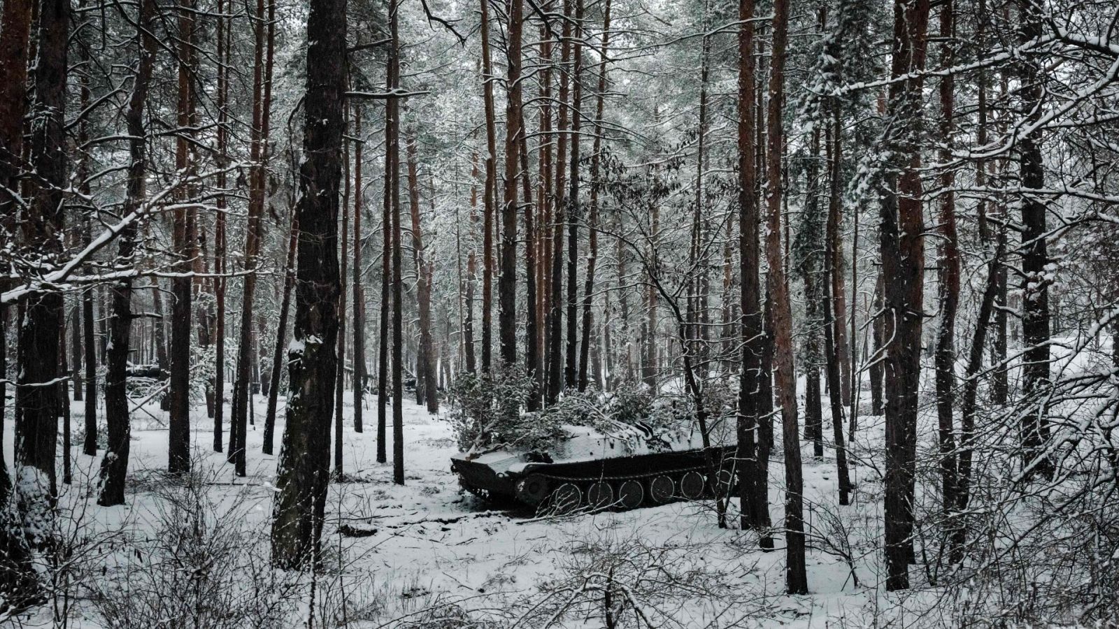 Un tanque ucraniano camuflado en un bosque en la región de Donetsk