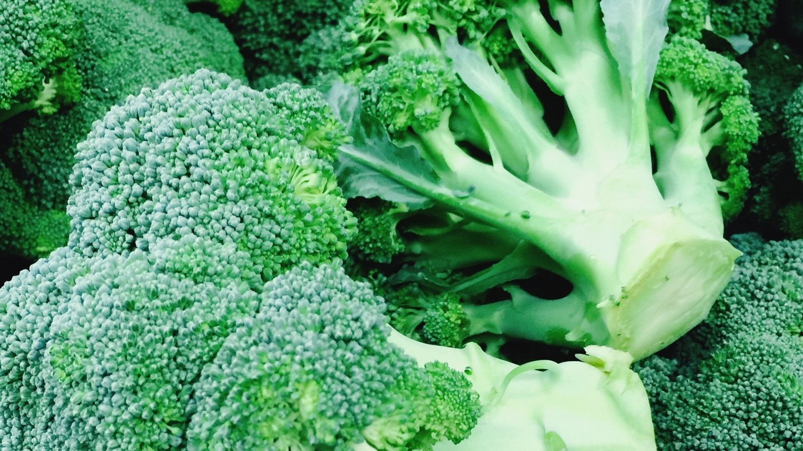 5 cosas que no sabías sobre el brócoli
