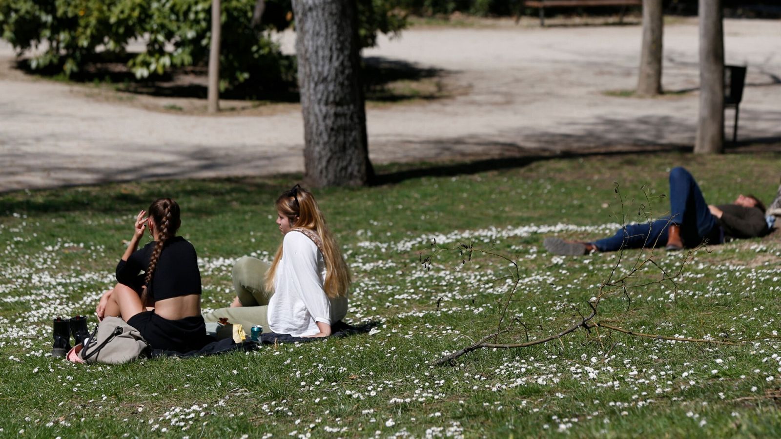 Varias personas disfrutan del sol en un parque de Madrid