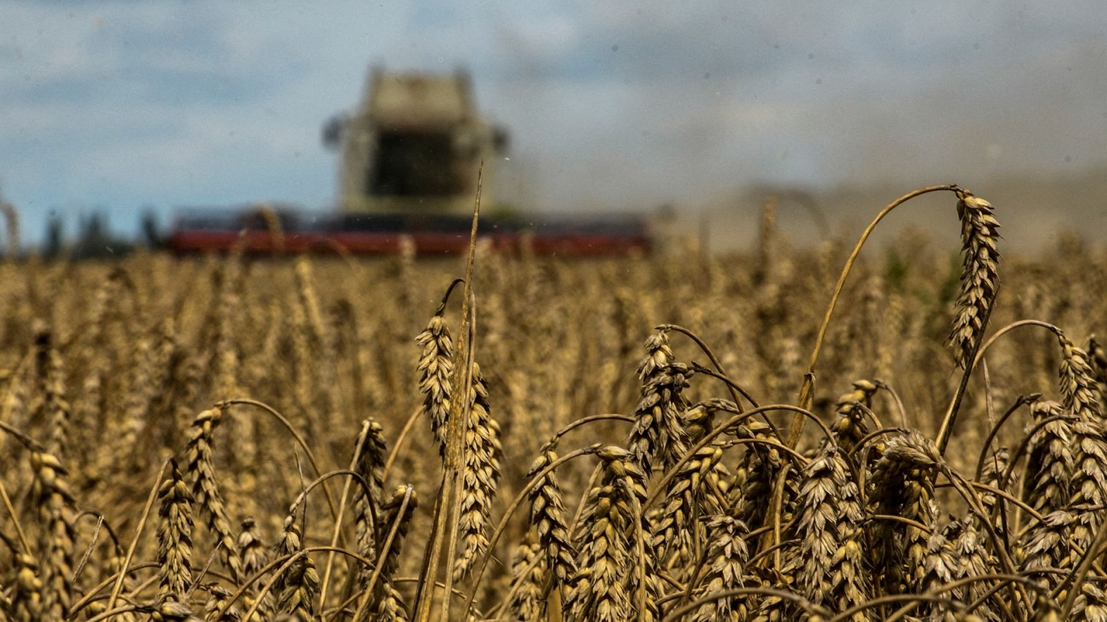 Rusia asegura que prorroga el acuerdo del grano solo por 60 días