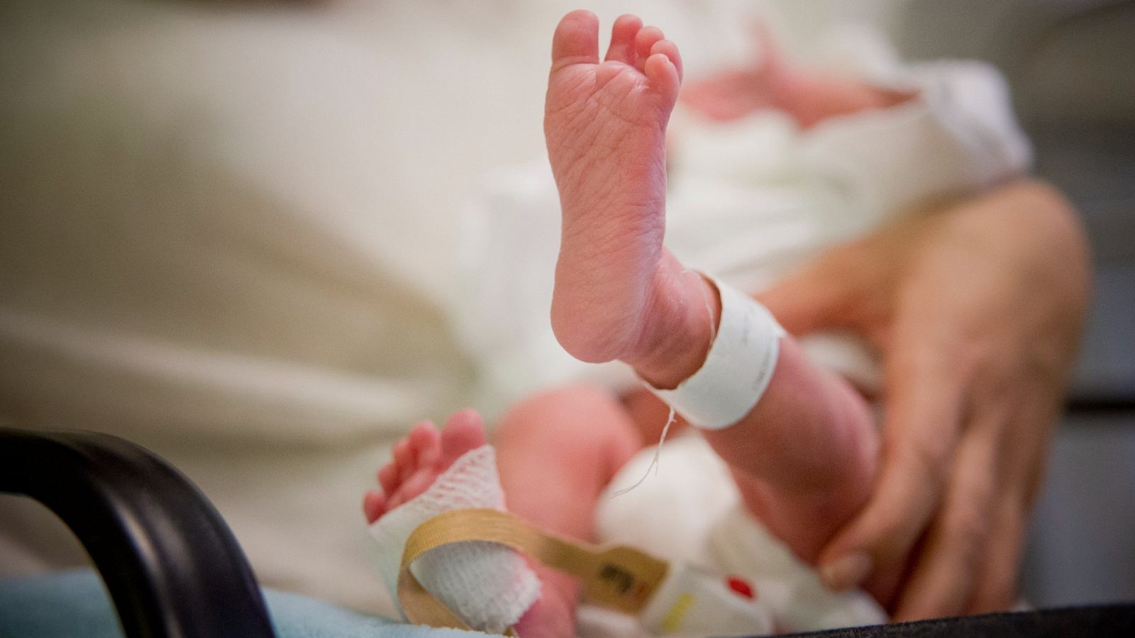 El pie de un bebé recién nacido con la etiqueta identificativa del hospital