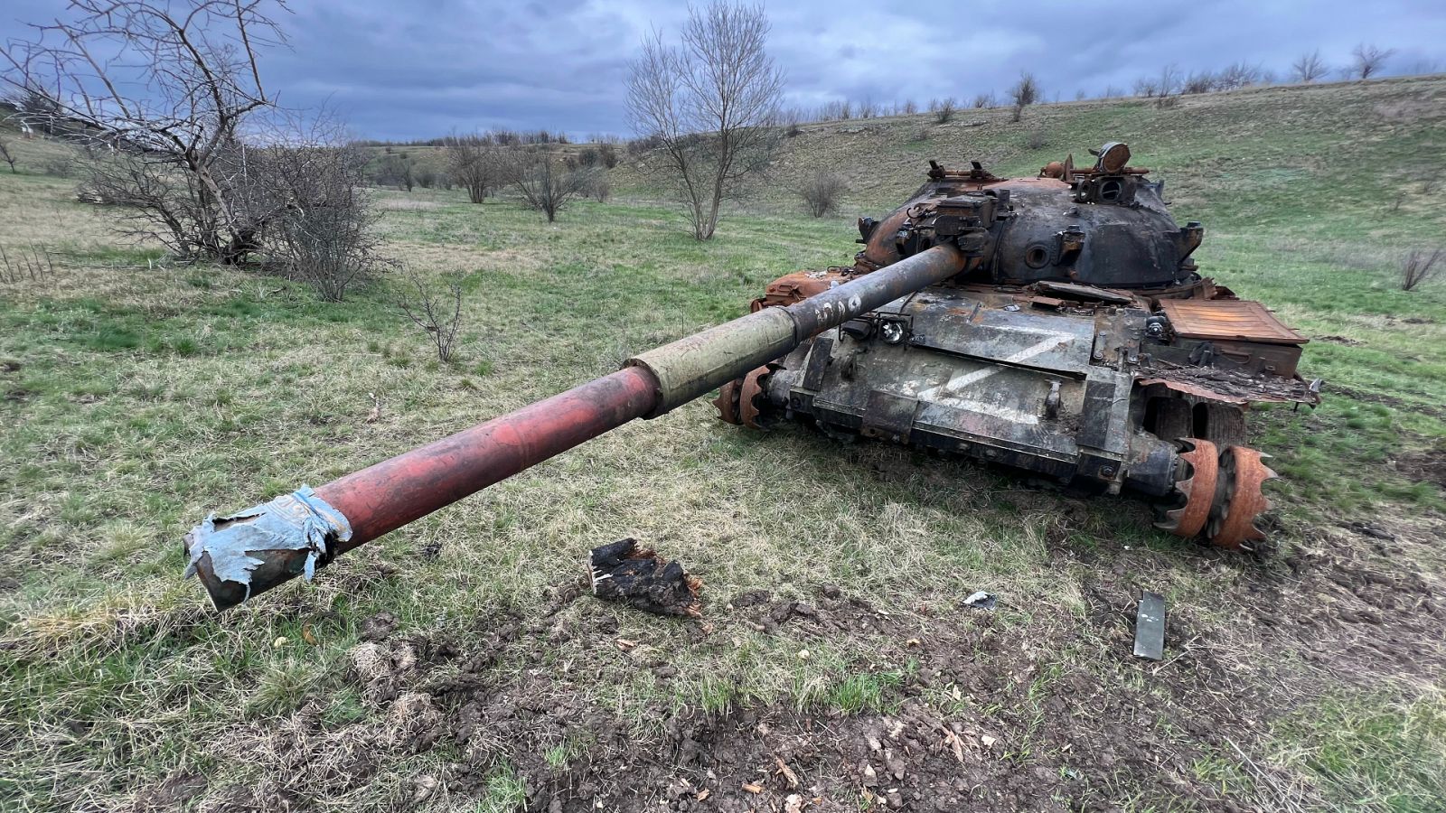 Un tanque destruido en el Parque Nacional Kamianska Sich
