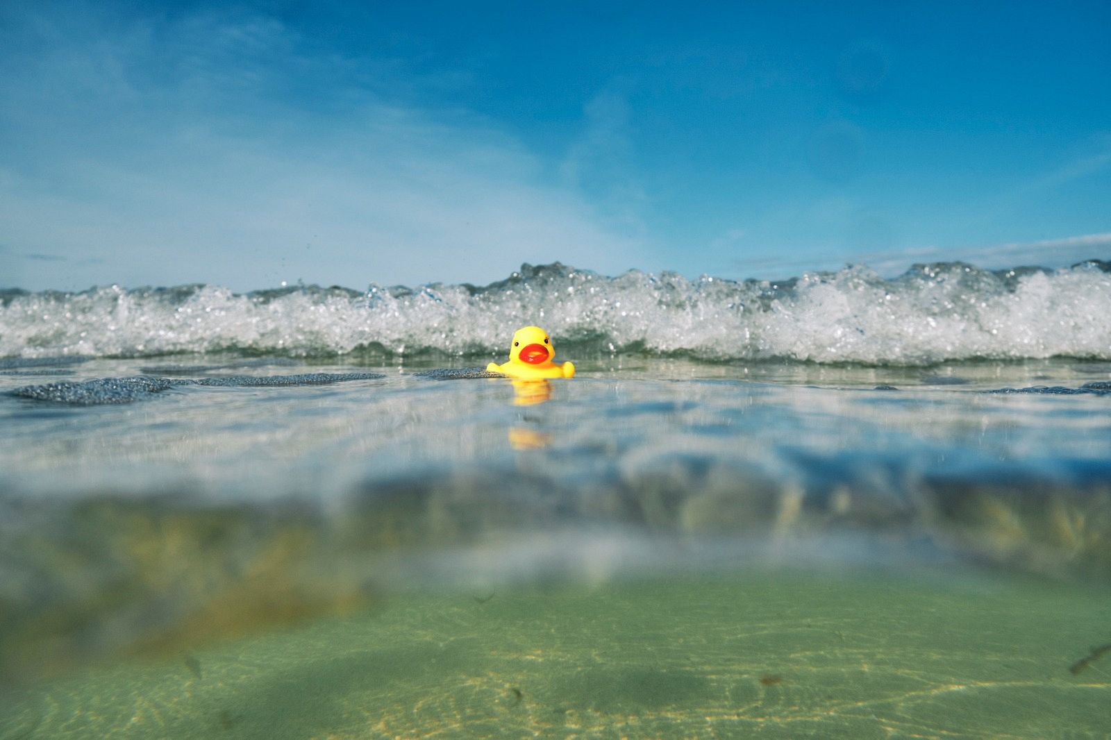 Patito de goma en el mar