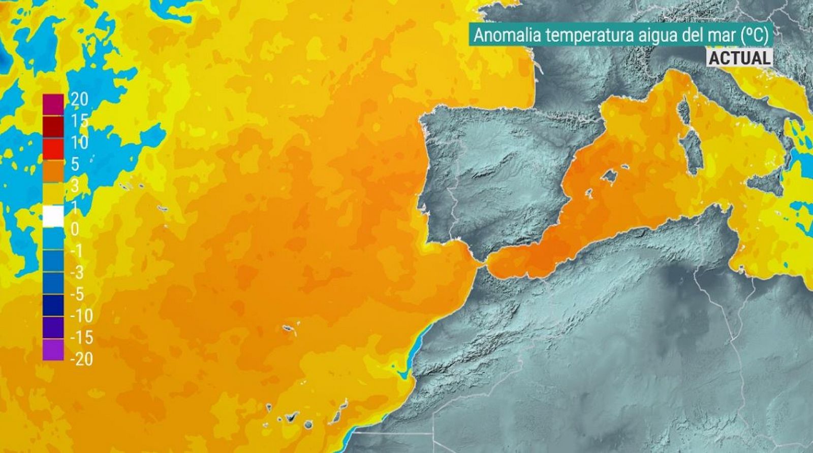 Anomalia de temperatura de l'aigua del mar (ºC)