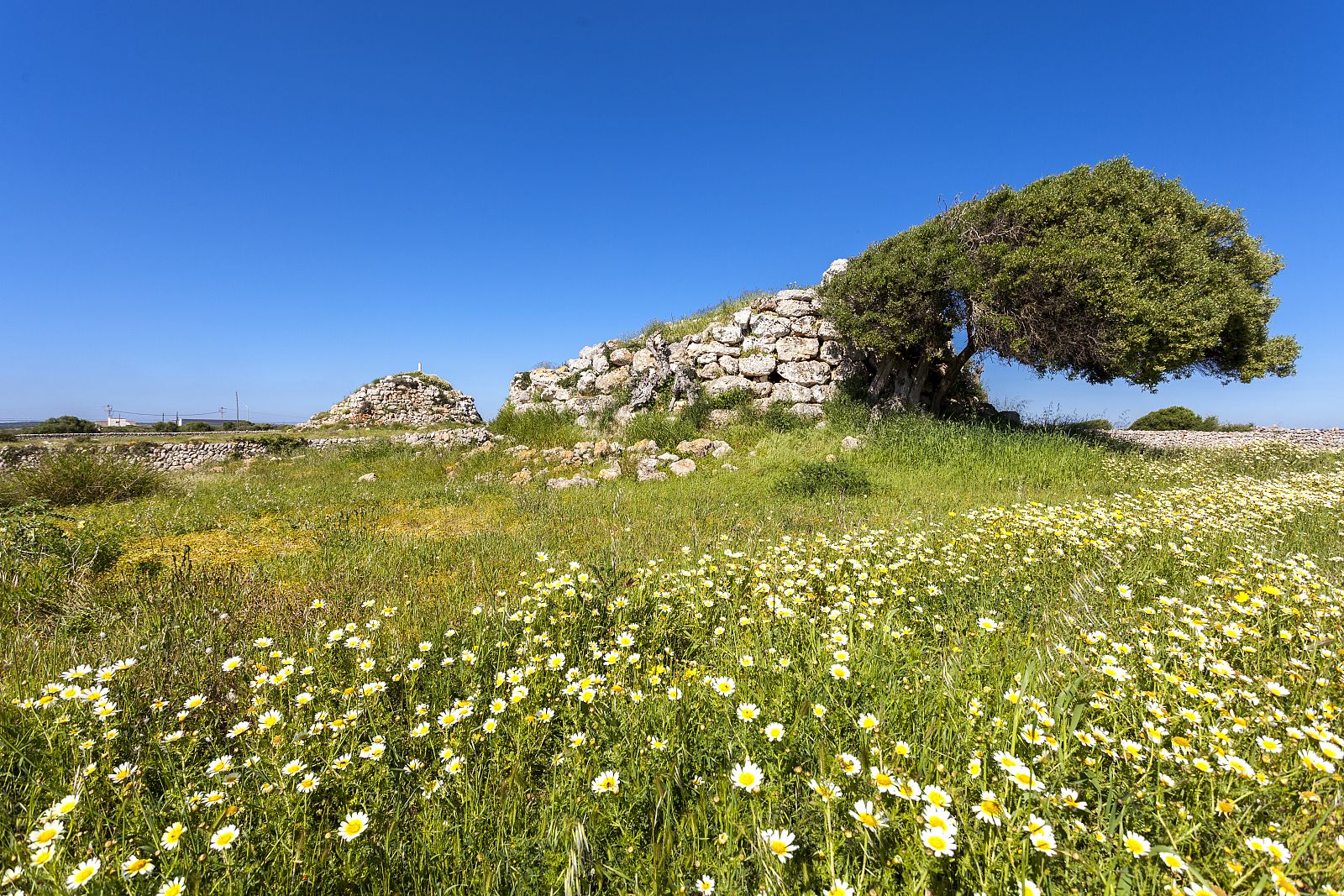 Montefí és un poblat talaiòtic de gran extensió que conserva actualment nombroses restes monumentals