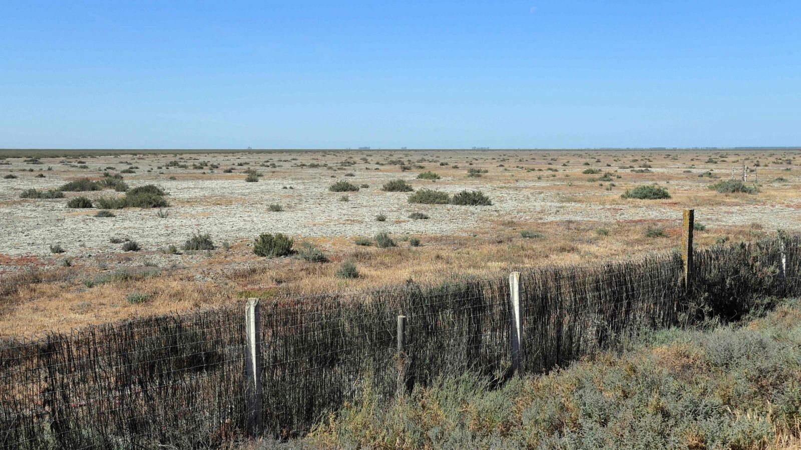 Campos secos en una foto tomada el 11 de mayo de 2023 en el Parque Nacional de Donana en Aznalcaraz