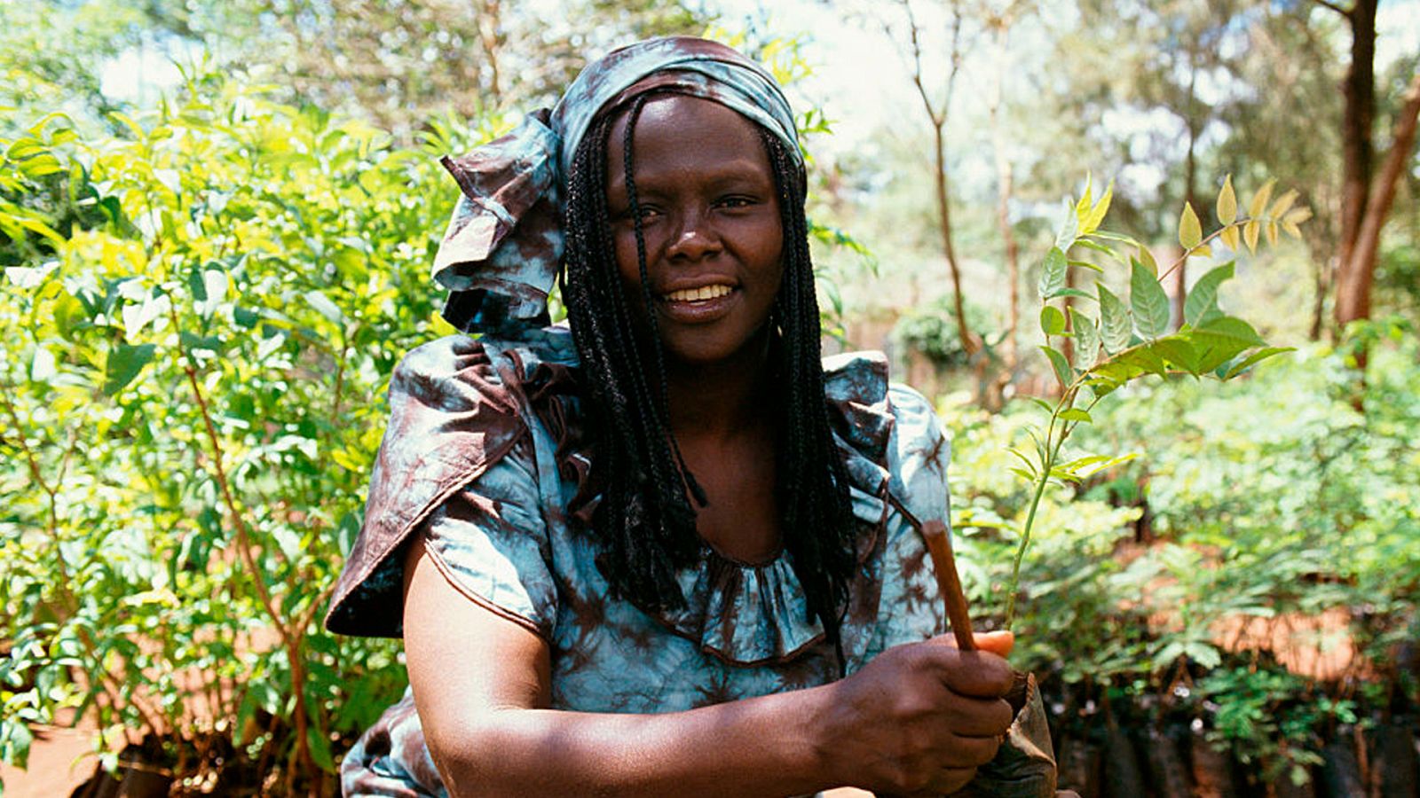 Wangari Maathai, un incono del feminismo y lucha ambiental