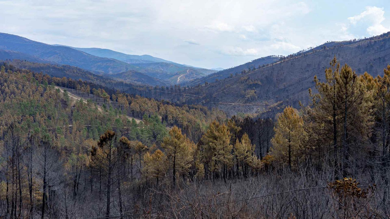 Terreno calcinado en Las Hurdes, Extremadura