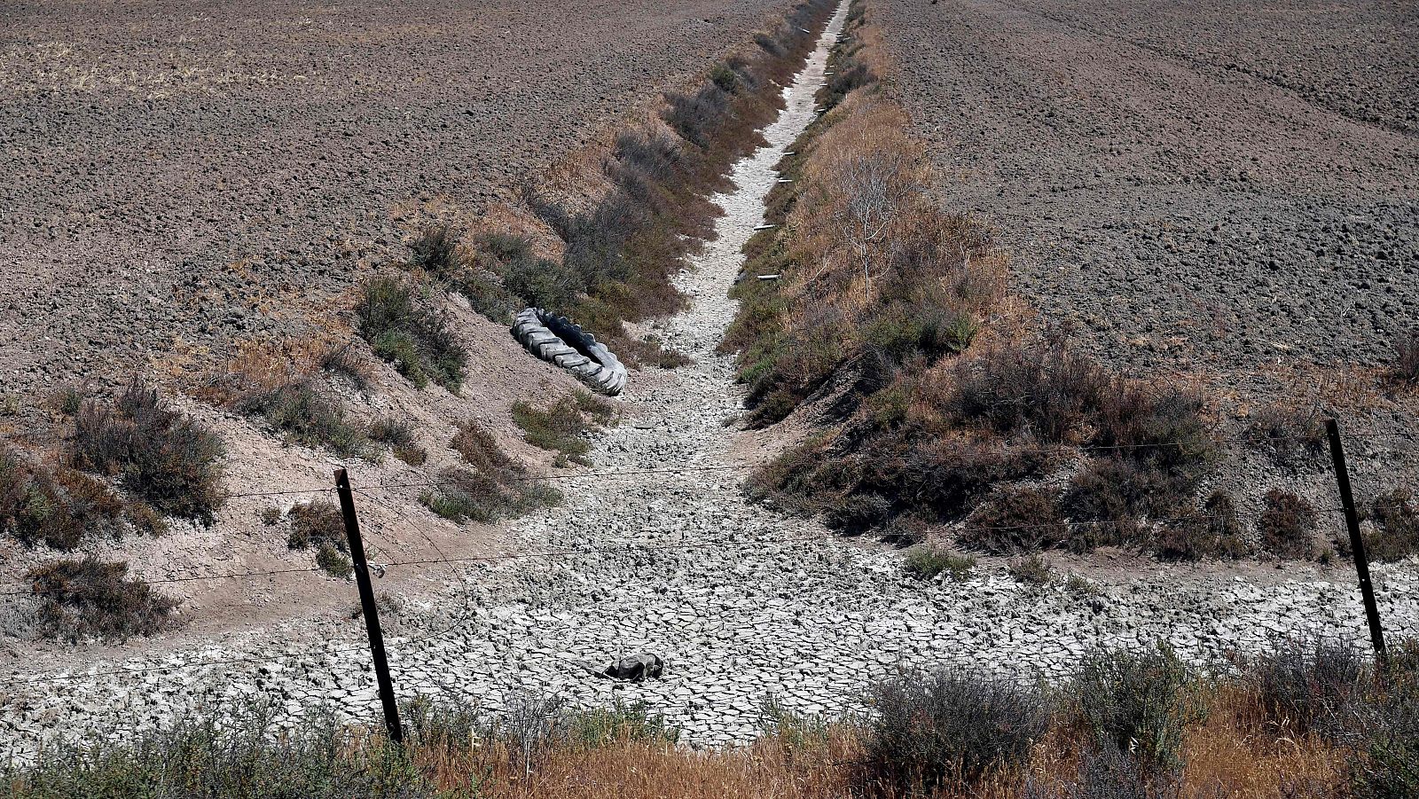 Imagen de los efectos de la sequía en Doñana