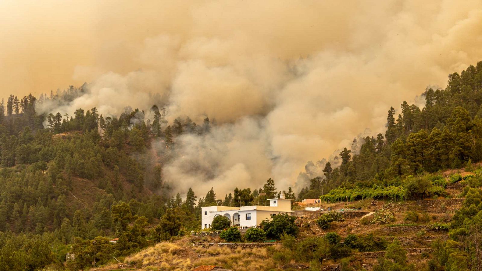 Un incendio forestal en La Palma quema más de 4.500 hectáreas