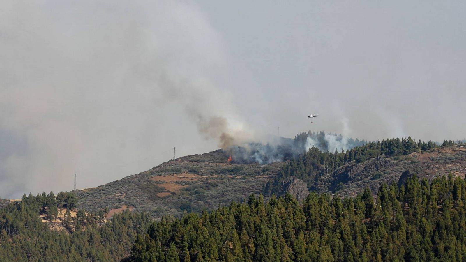 Imagen del fuego en Gran Canaria