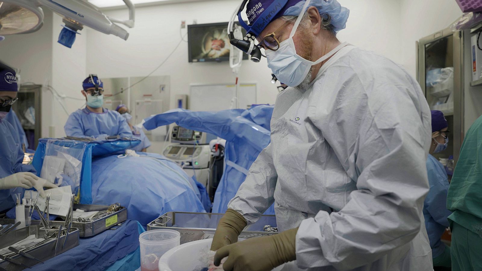 Investigadores de todo el país se apresuran a aprender cómo usar órganos animales para salvar vidas humanas.