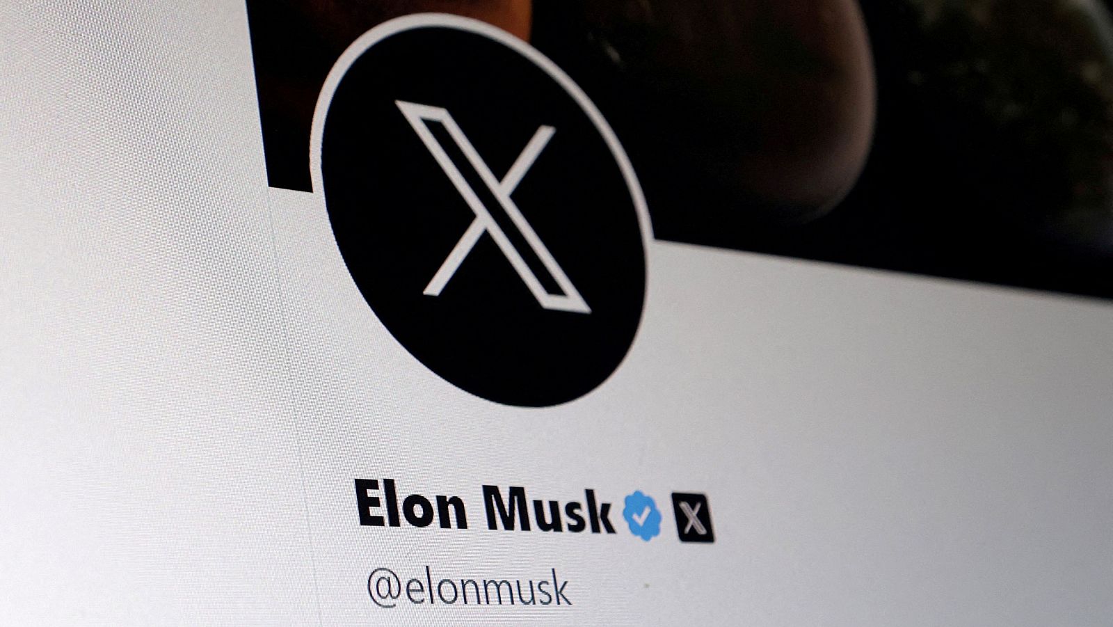 Detalle de la cuenta de Elon Musk en su red social X, antes Twitter