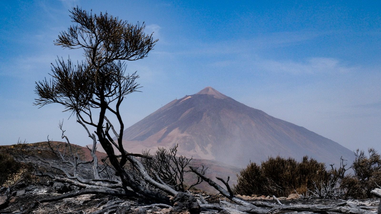 Una imagen del Parque Nacional del Teide tras el paso del incendio forestal que ha afectado a la isla de Tenerife.