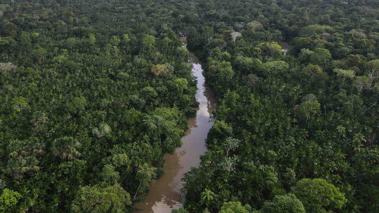 Una zona de la floresta Amazónica, en el estado de Pará, norte de Brasil.