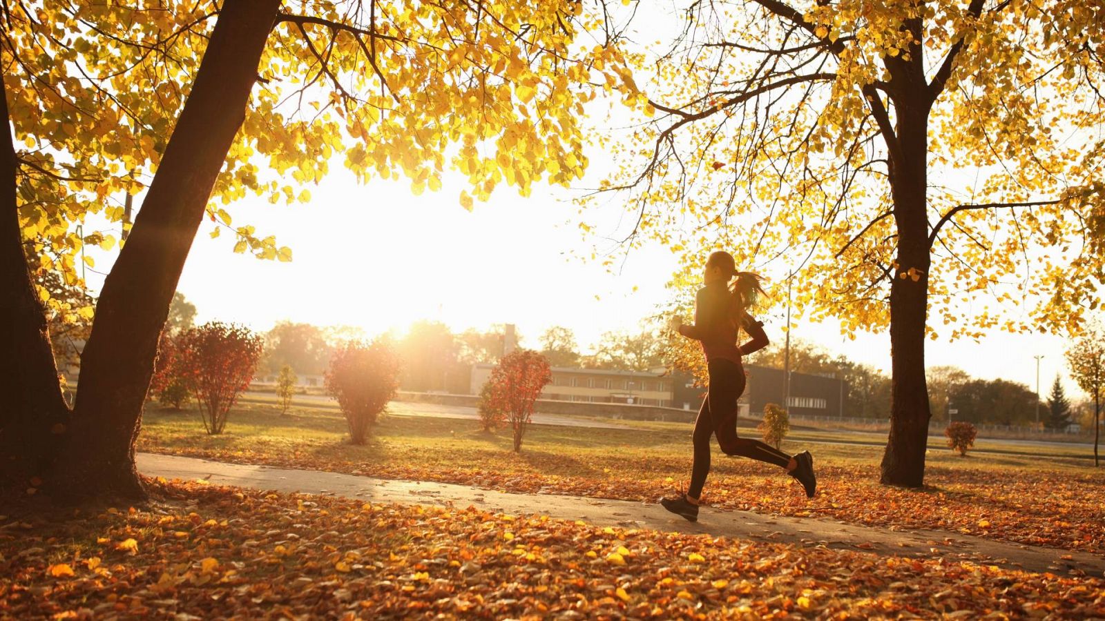Otoño 2023, cuando empieza: una mujer corre por un parque lleno de hojas