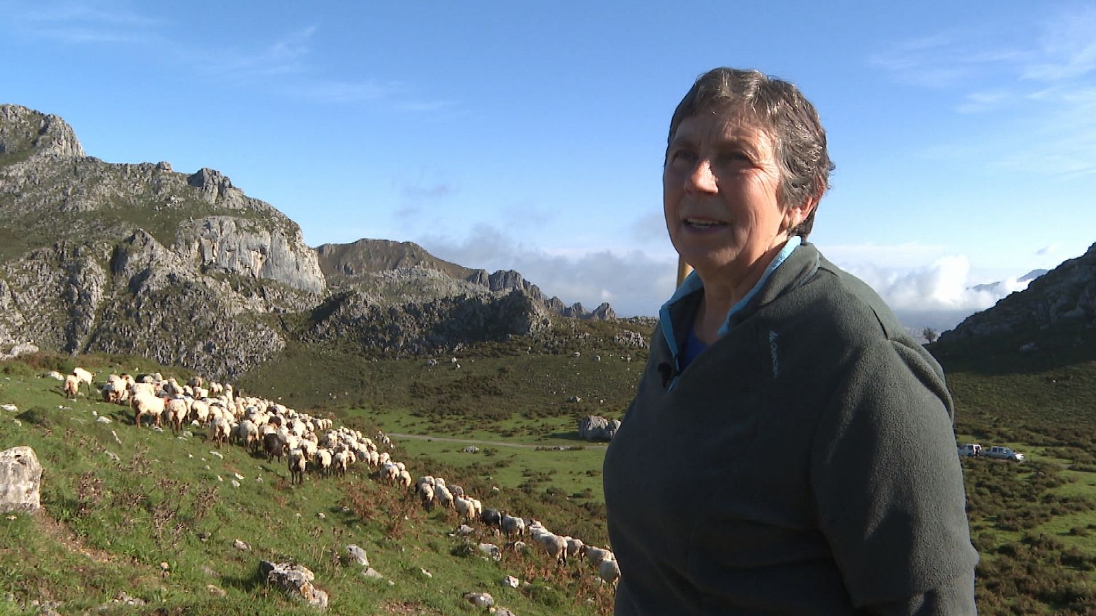 Pilar Amieva Guerra es la única pastora del Concejo de Onís en el Puerto Alto de Picos de Europa