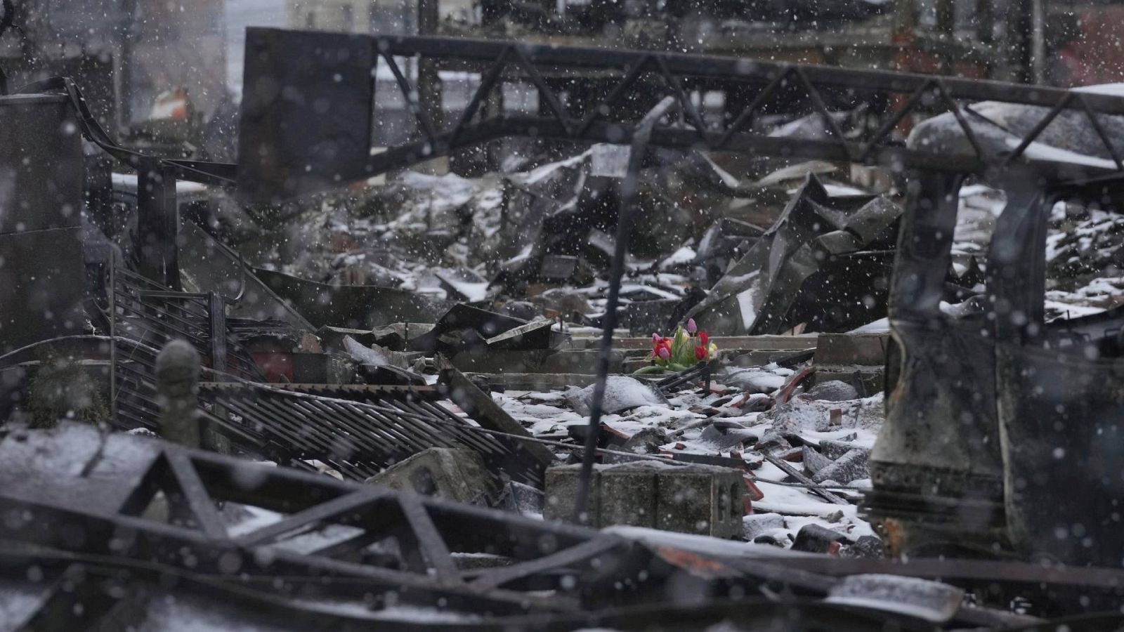 Terremoto Japón: tulipanes sobre los escombros de varios edificios en Wajima