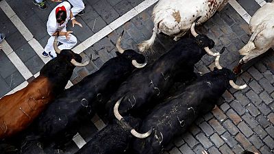 Toros en los encierros de Sanfermines