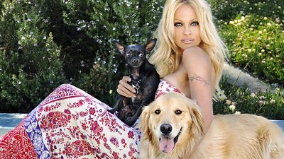 La conversión de Pamela Anderson