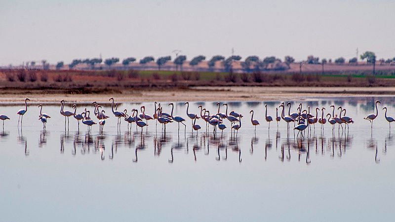 ¿Cuál es el estado ambiental de España? ¿Cuál es el estado ambiental de España?