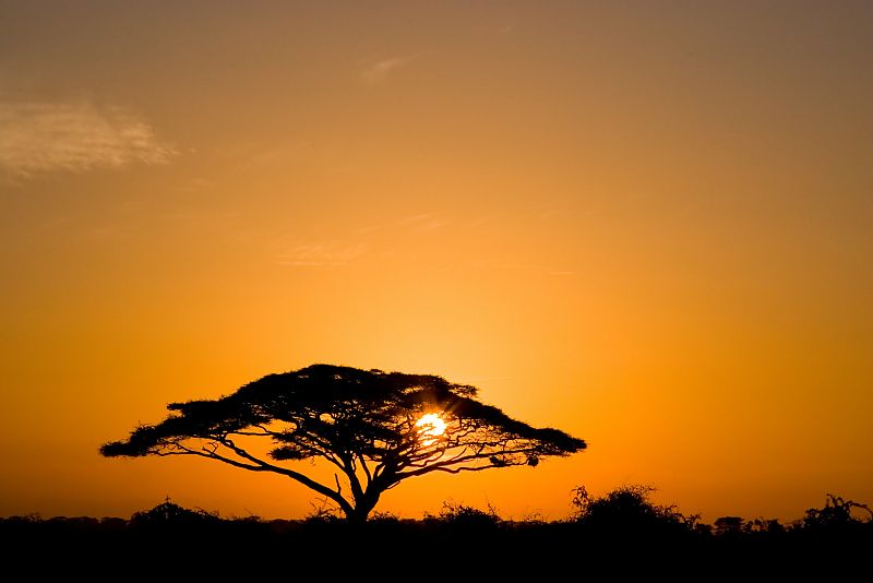 Amanecer en el Parque Nacional de Tanzania, África Amanecer en el Parque Nacional de Tanzania, África