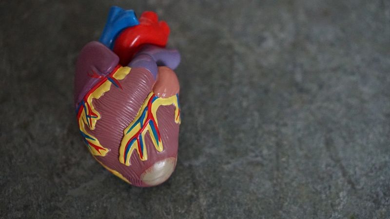 Els pacients covid amb dany cardíac, amb més risc