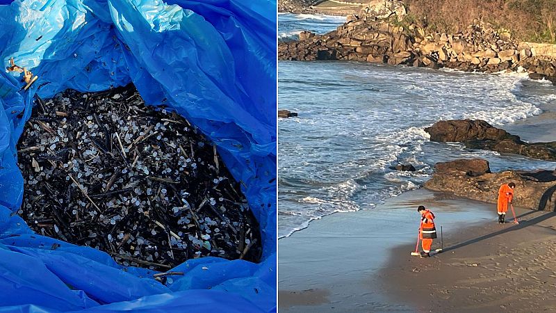 Pélets y voluntarios de Porto Do Son Pélets y voluntarios de Porto Do Son