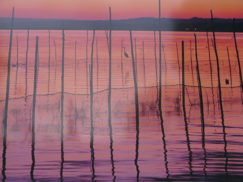 Albufera de Valencia