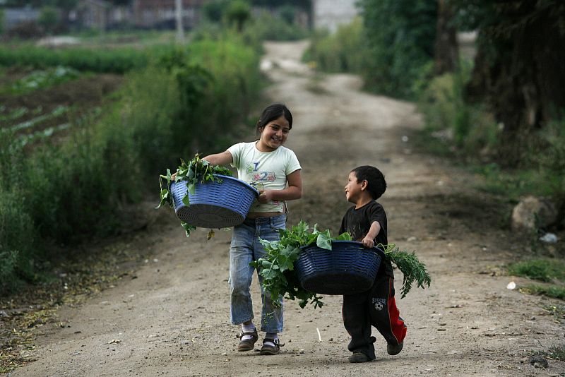 Dos niños transportan verduras tras dejar el campo al acabar el día en Tecpan (Guatemala).