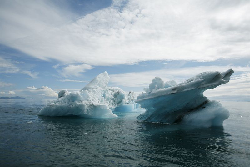 Veinte años después la zona está recuperada, aunque los que sufrieron el desastre del 'Exxon Valdez' no lo olvidarán facilmente.