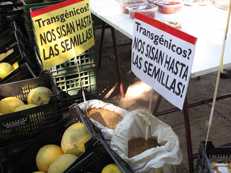 No a los transgénicos