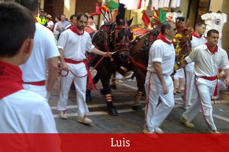 Sanfermines 2010: Luis