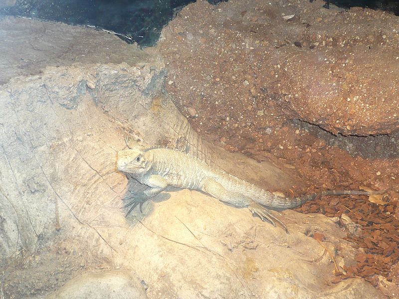 'Naturaleza misteriosa' en el Museo de la Ciencia de Valladolid