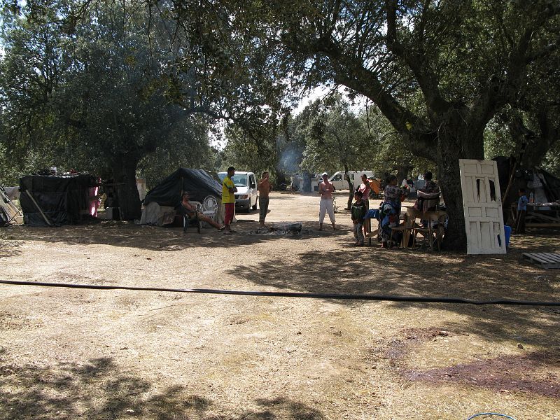 En el monte de Villoria conviven 40 temporeros rumanos.