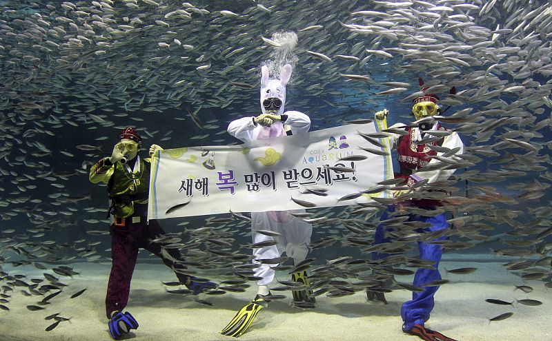 En el acuario de Seúl (Corea del Sur), esperan la llegada del nuevo año bajo el agua