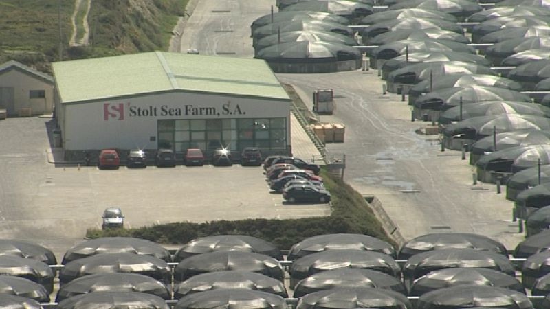 Piscicultura como la de Stolt Sea Farm sirve a los ecologistas para mostrar los inconvenientes de este tipo de industrias