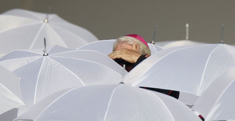 Un cardenal observa entre los paraguas que protegen del calor