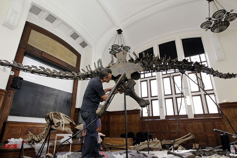 FRANCE-PALEONTOLOGY-DINOSAUR-AUCTION-FILES