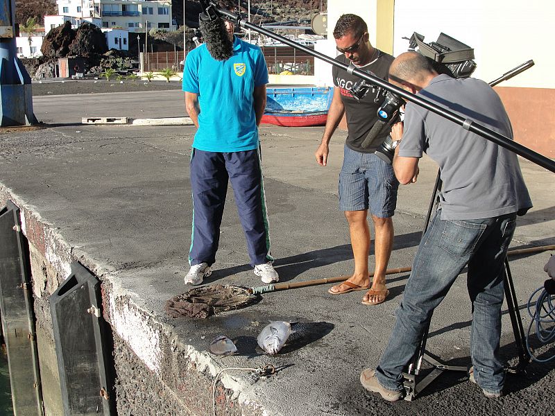 Grabando algunos peces muertos en el puerto de La Restinga