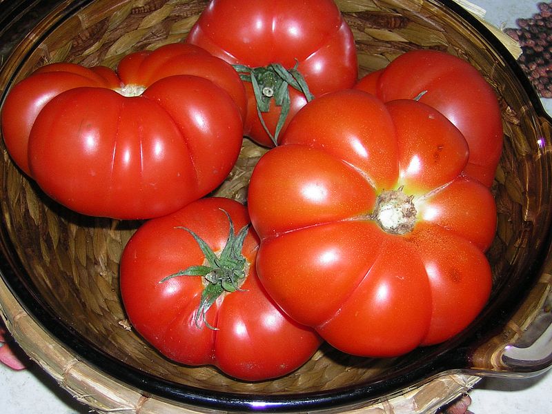 La mañana de La 1 - Tomates, de Noelia