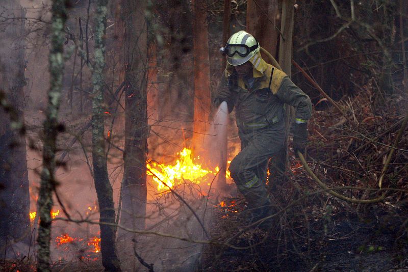 Los equipos de extinción de incendios han estado trabajando toda la noche.