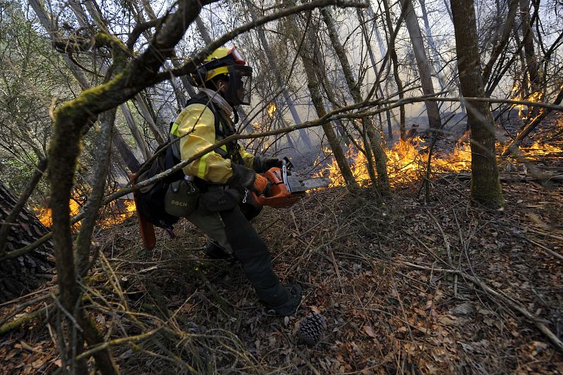 El fuego ha arrasado ya más de 700 hectáreas.
