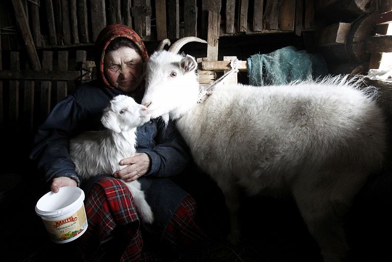 Ekaterina Shklyaeva, de 74 años, compagina los ensayos con el cuidado de sus cabras.